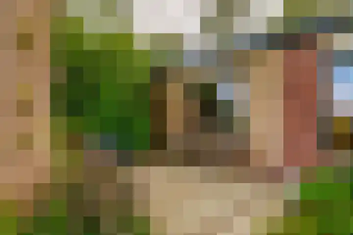 De Schure 15 Vledder thumbnail 32