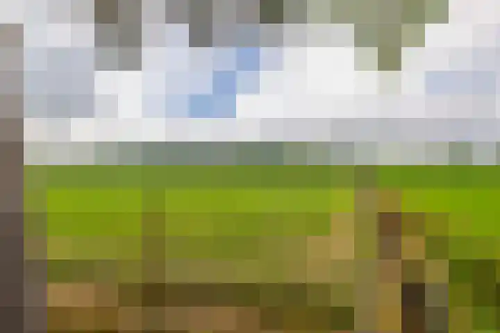 De Schure 15 Vledder thumbnail 37