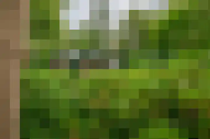 De Schure 15 Vledder thumbnail 39