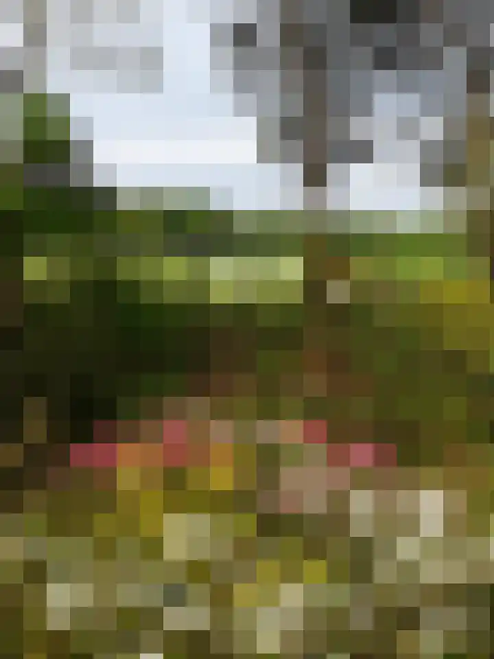 De Schure 15 Vledder thumbnail 40