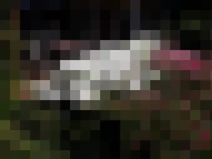 De Schure 15 Vledder thumbnail 41