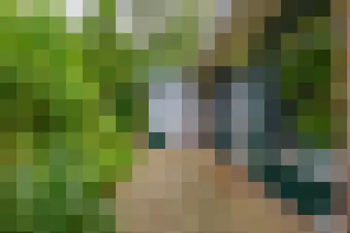 De Schure 15 Vledder thumbnail 44