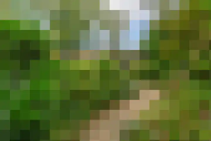 De Schure 15 Vledder thumbnail 47