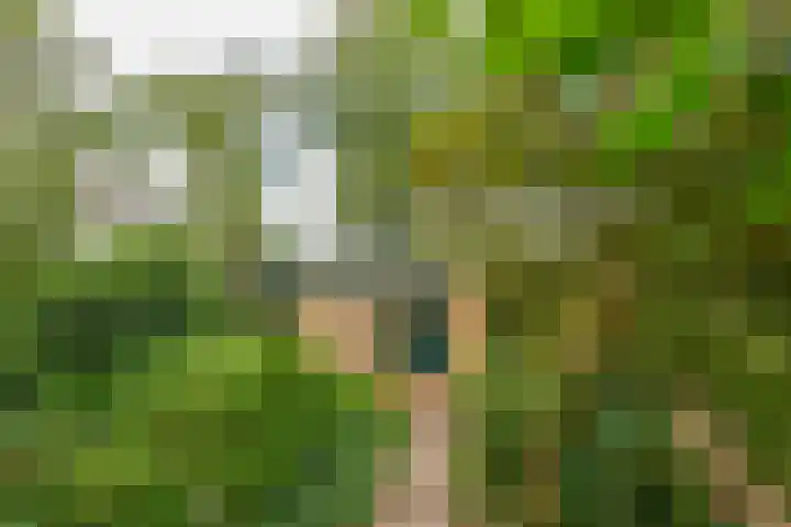 De Schure 15 Vledder thumbnail 49