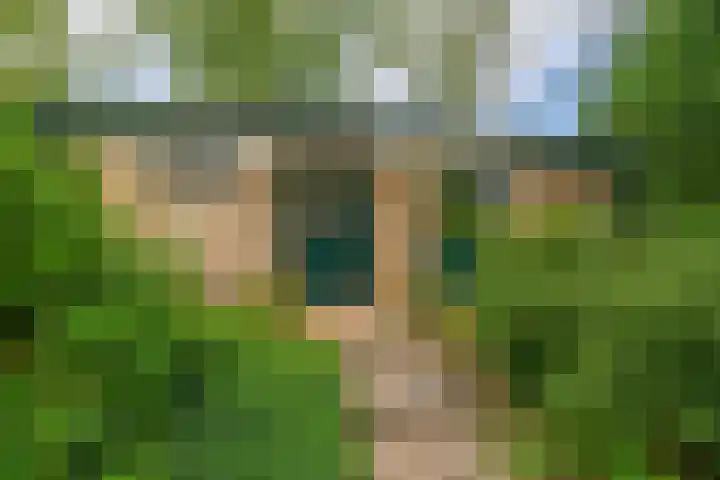 De Schure 15 Vledder thumbnail 5