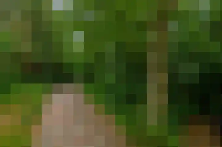 De Schure 15 Vledder thumbnail 51