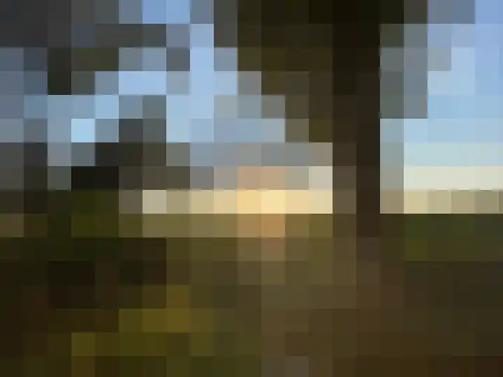 De Schure 15 Vledder thumbnail 52