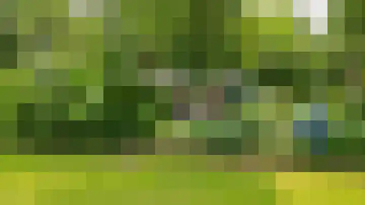 De Schure 15 Vledder thumbnail 56