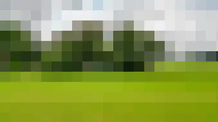 De Schure 15 Vledder thumbnail 58