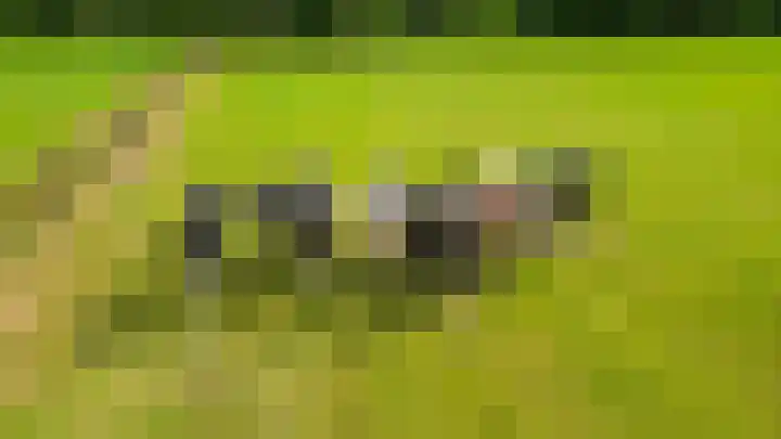 De Schure 15 Vledder thumbnail 62