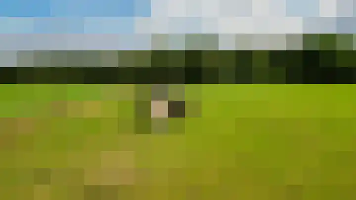 De Schure 15 Vledder thumbnail 63