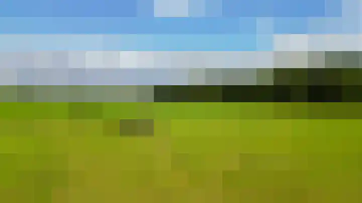 De Schure 15 Vledder thumbnail 64