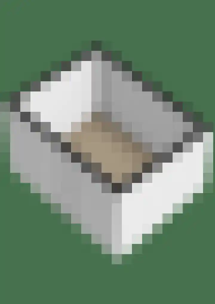 De Schure 15 Vledder thumbnail 70