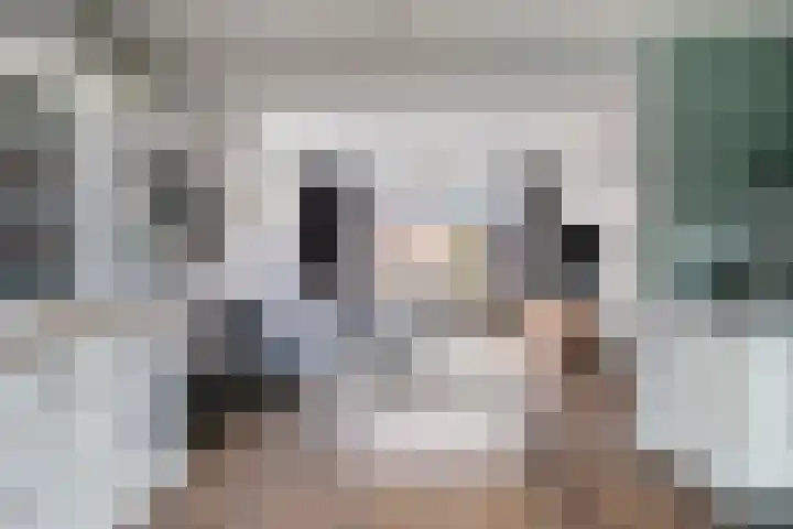 de Schutter 25 Oirschot thumbnail 11