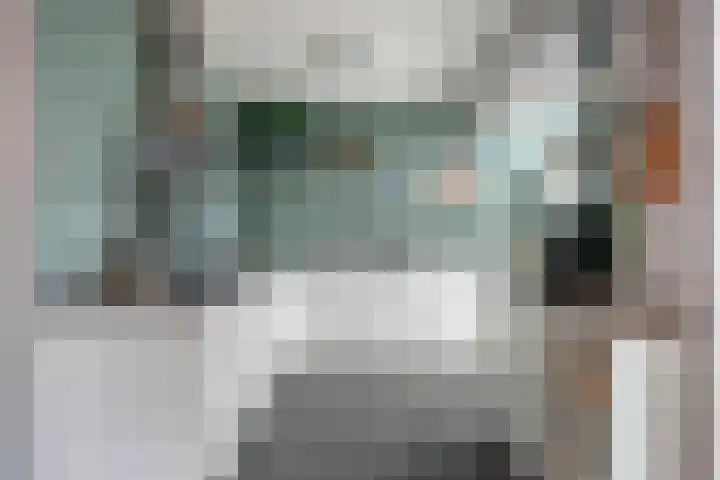 de Schutter 25 Oirschot thumbnail 17