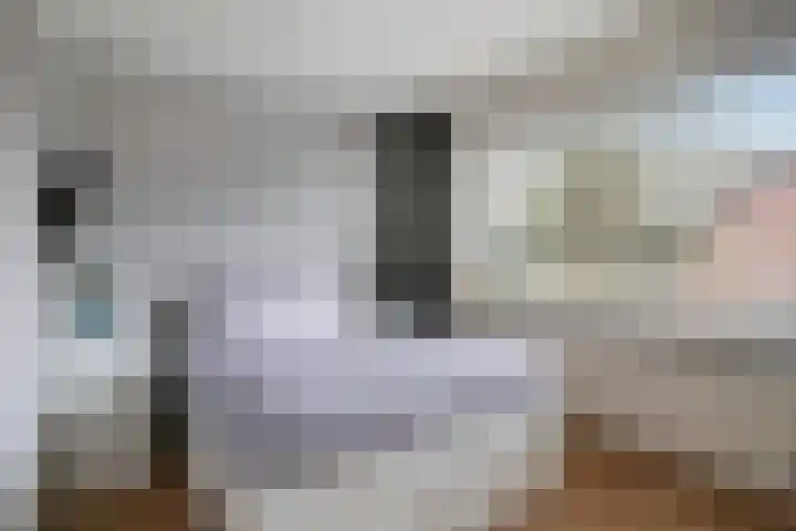 de Schutter 25 Oirschot thumbnail 23