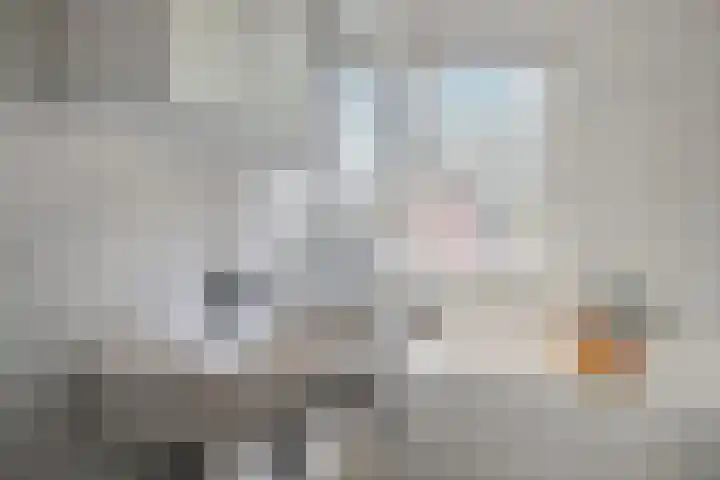 de Schutter 25 Oirschot thumbnail 28