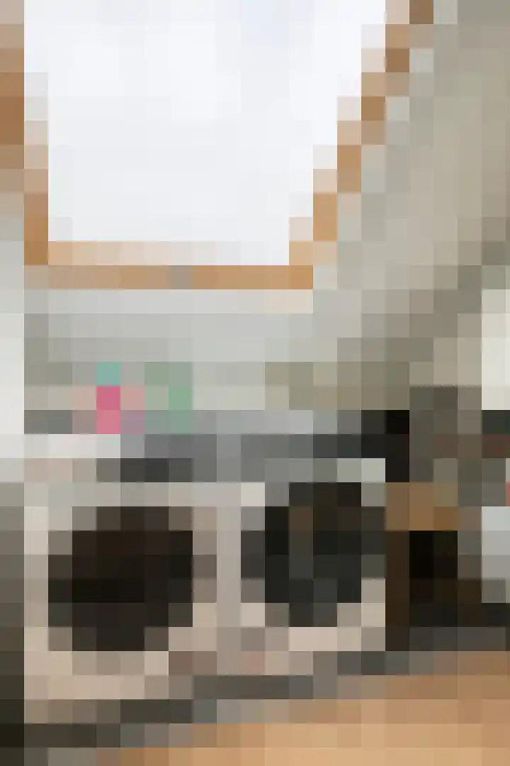 de Schutter 25 Oirschot thumbnail 30