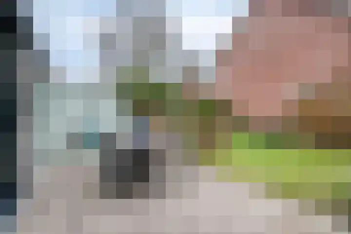 de Schutter 25 Oirschot thumbnail 33