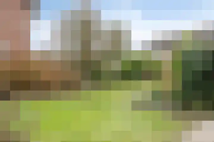 de Schutter 25 Oirschot thumbnail 34
