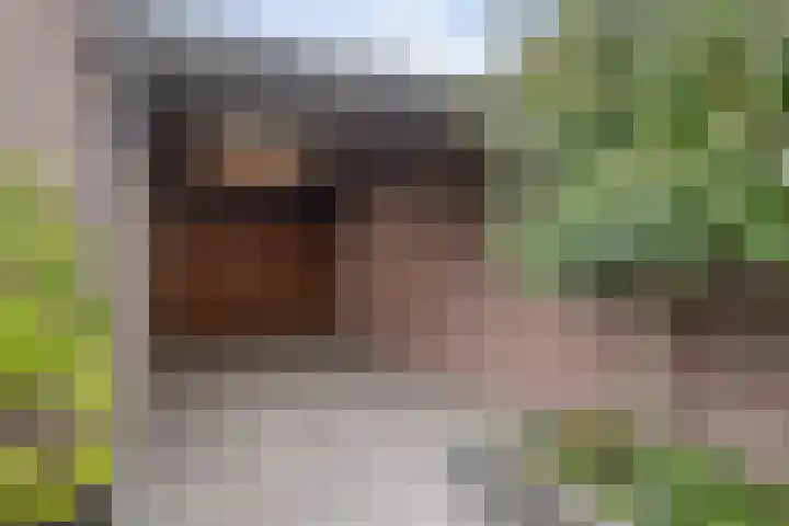 de Schutter 25 Oirschot thumbnail 39