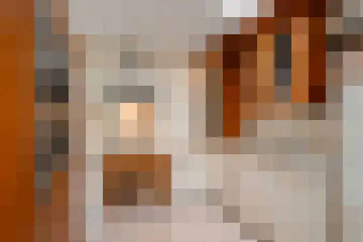 De Schutterij 4 Gorssel thumbnail 16