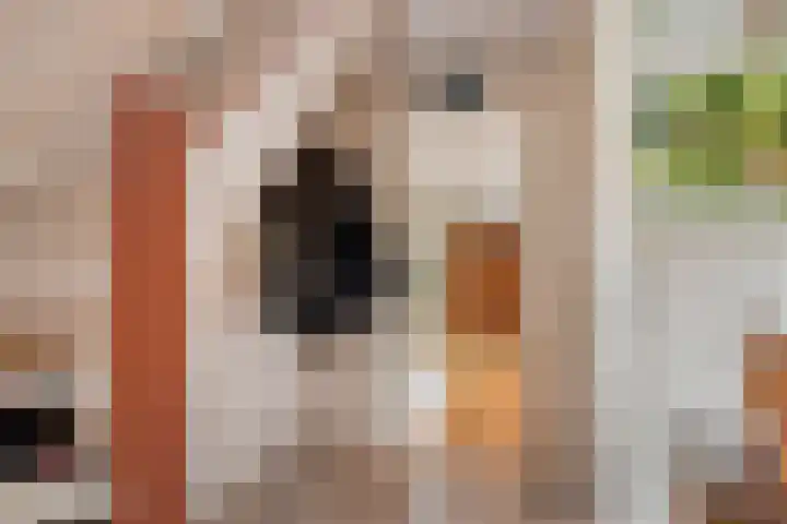De Schutterij 4 Gorssel thumbnail 18