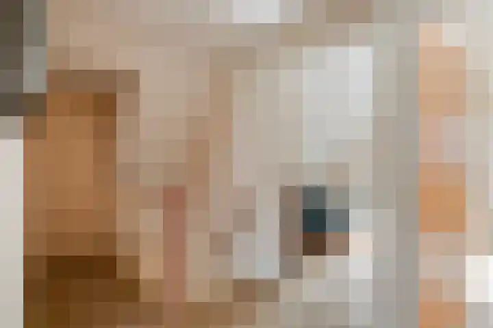 De Schutterij 4 Gorssel thumbnail 25
