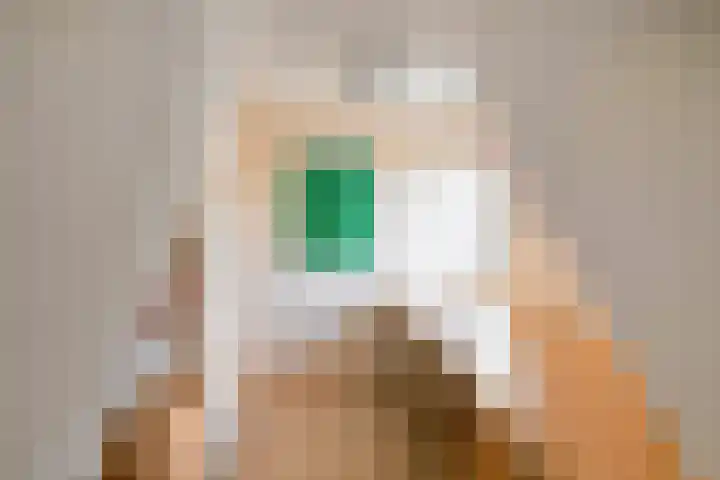 De Schutterij 4 Gorssel thumbnail 32