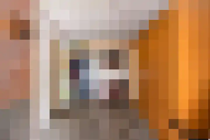 De Schutterij 4 Gorssel thumbnail 36