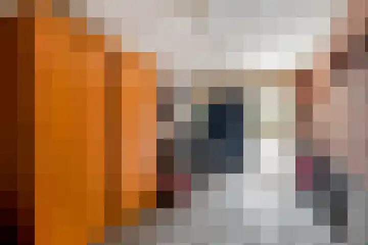 De Schutterij 4 Gorssel thumbnail 37