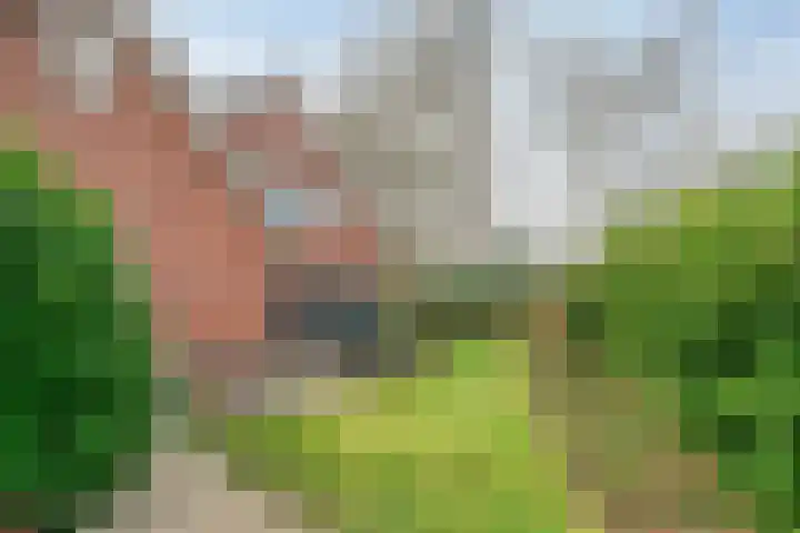 De Schutterij 4 Gorssel thumbnail 4