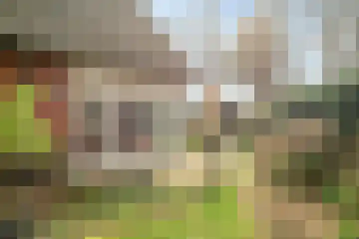 De Schutterij 4 Gorssel thumbnail 43