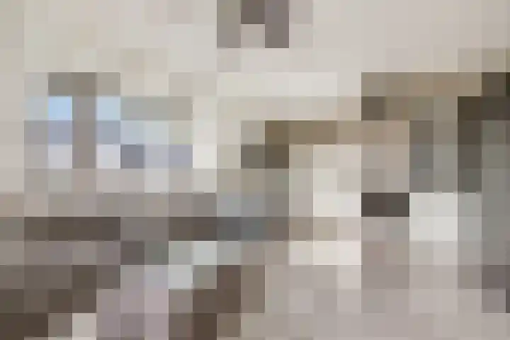De Schutterije 72 Didam thumbnail 9