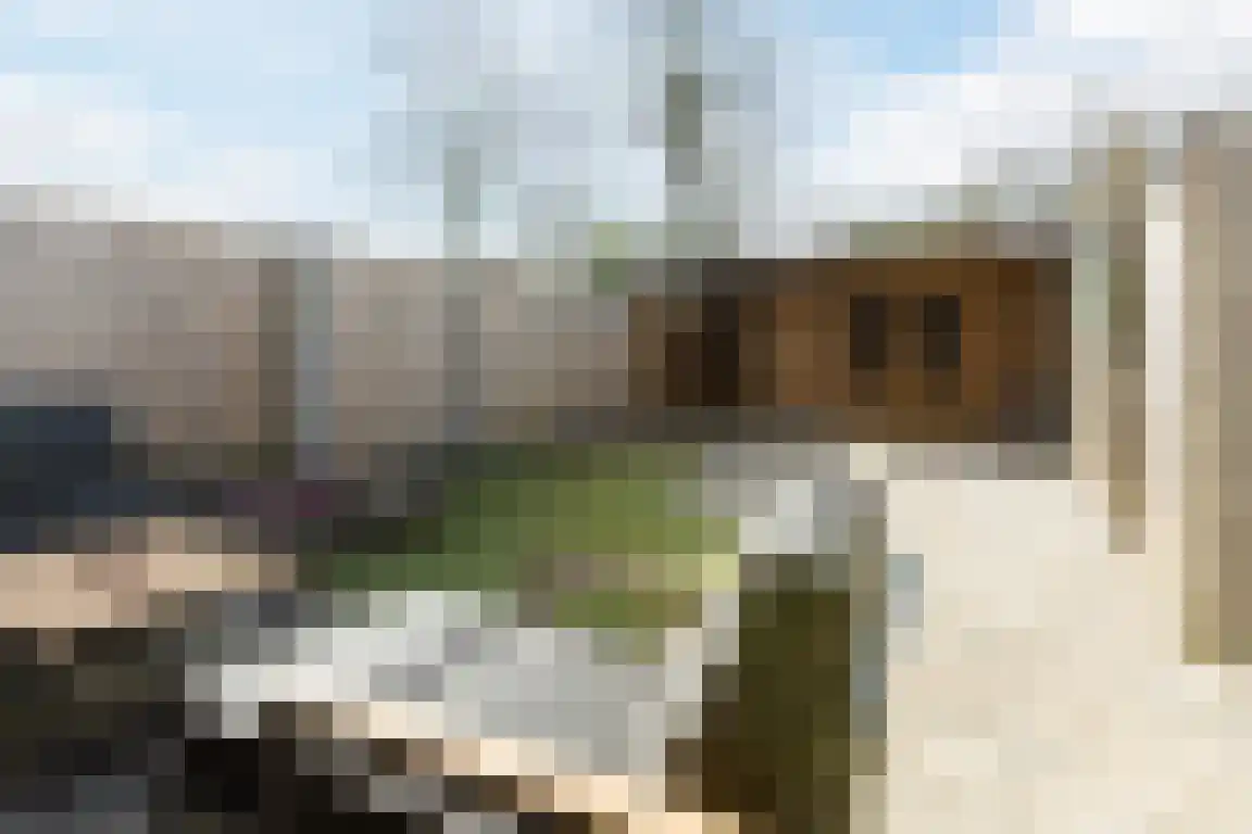 de Sering 21 Hoogerheide thumbnail 32