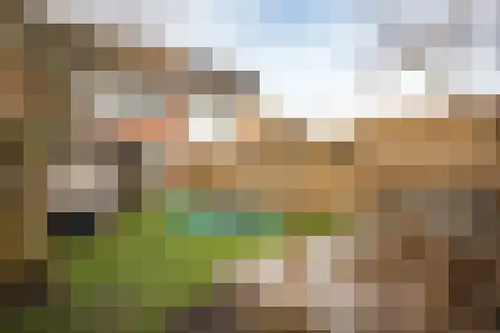 de Sering 8 Hoogerheide thumbnail 32