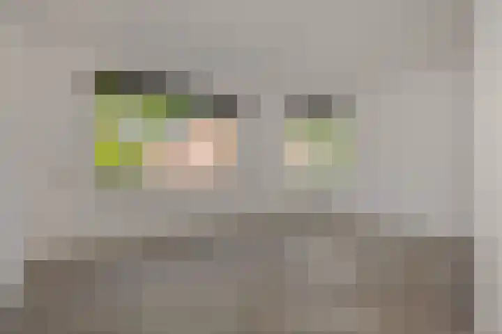 De Sikkel 16 Heesch foto 2