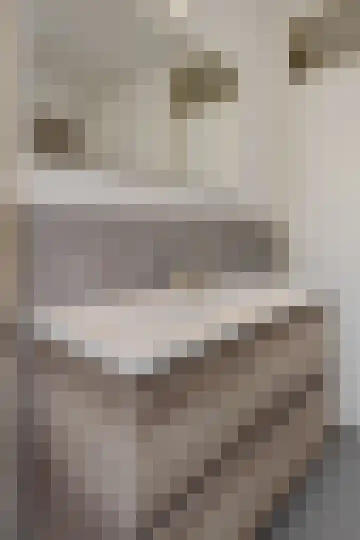 De Sikkel 16 Heesch thumbnail 23
