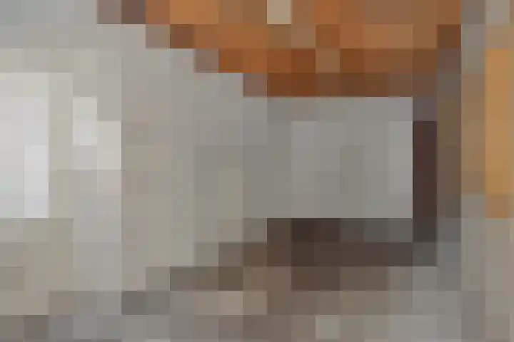De Sikkel 16 Heesch thumbnail 29