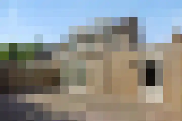 De Sikkel 16 Heesch thumbnail 33