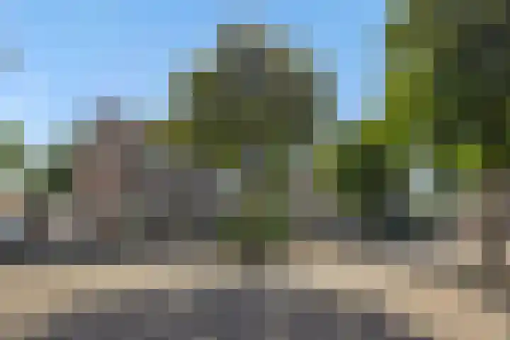 De Sikkel 16 Heesch thumbnail 36