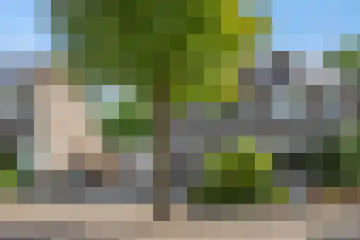 De Sikkel 16 Heesch thumbnail 37