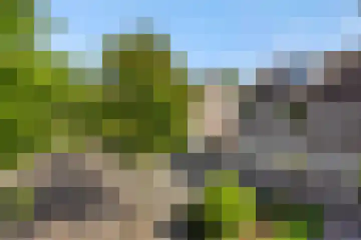 De Sikkel 16 Heesch thumbnail 40