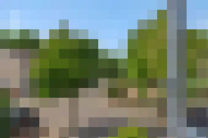 De Sikkel 16 Heesch thumbnail 44