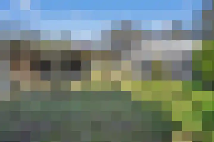 De Singel 15 Weiteveen thumbnail 42
