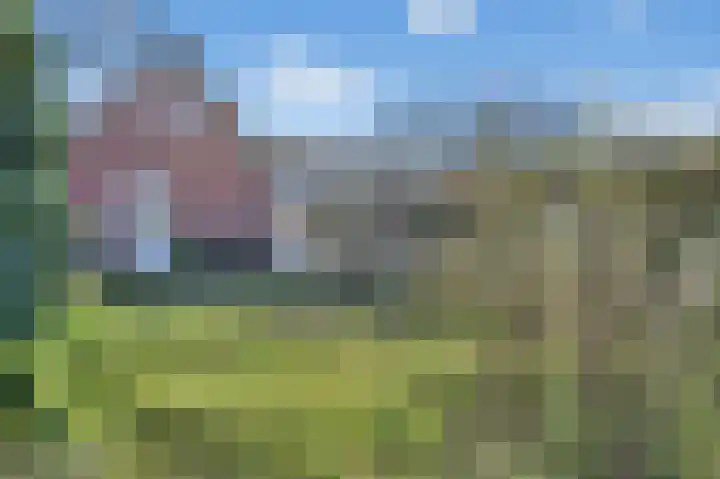 De Singel 15 Weiteveen thumbnail 43