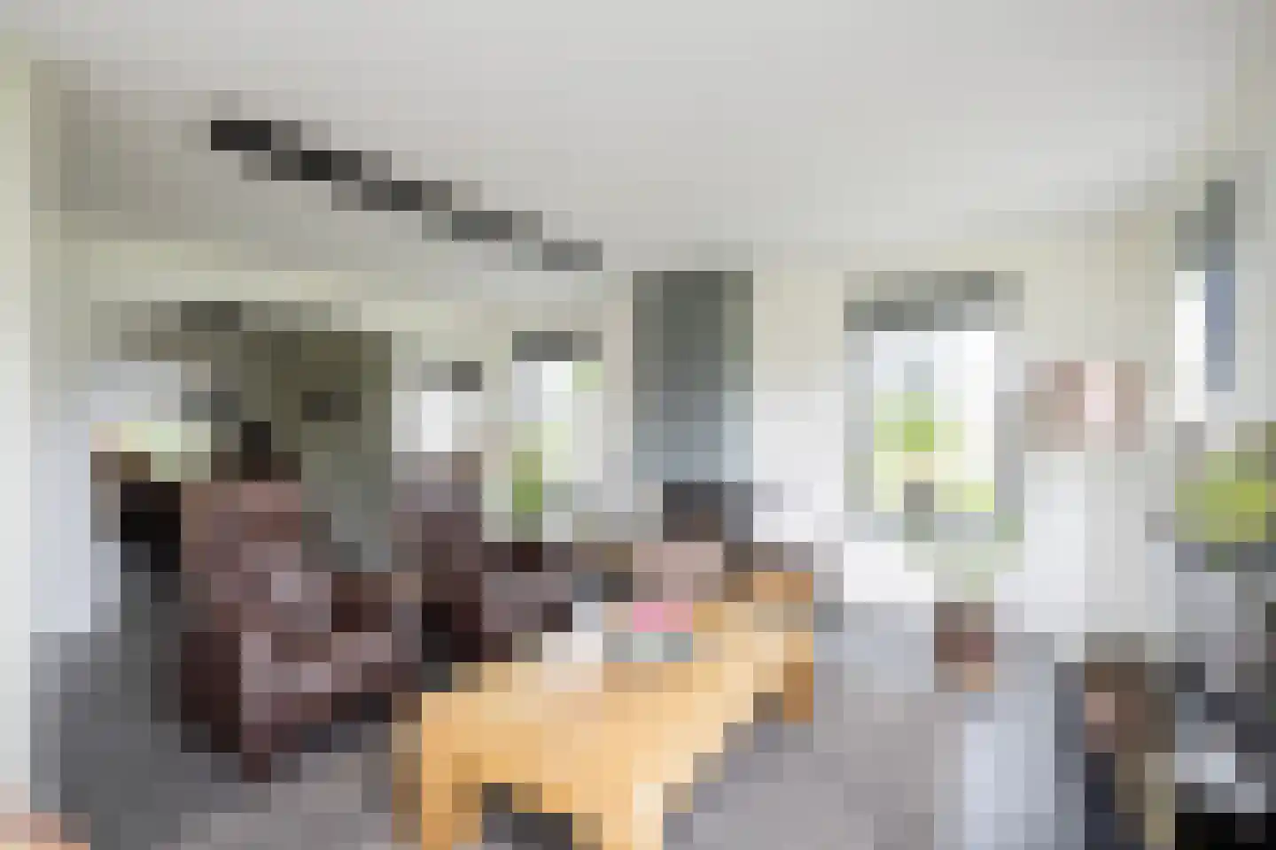De Singel 27 Dalfsen thumbnail 11