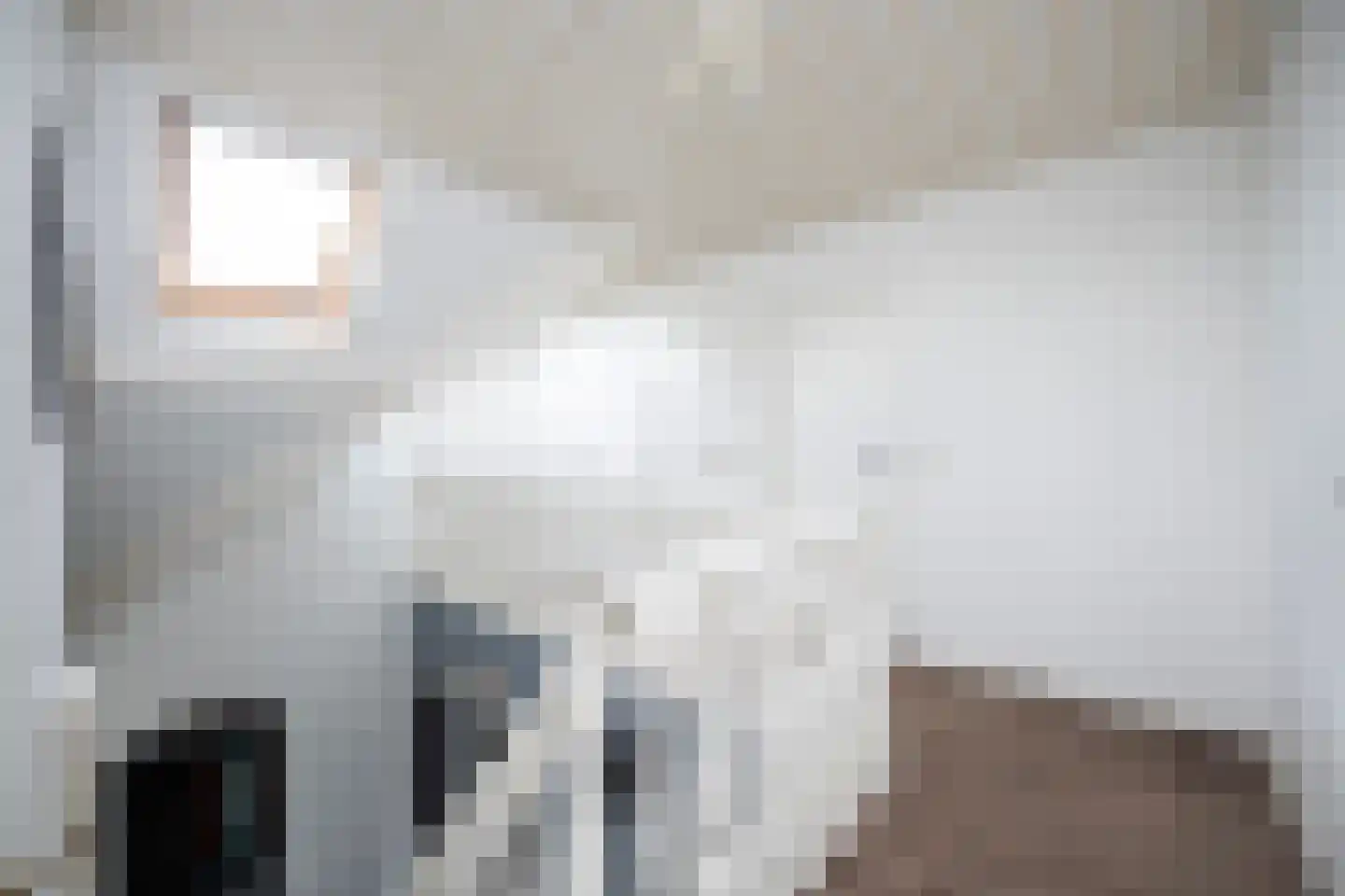 De Singel 27 Dalfsen thumbnail 21