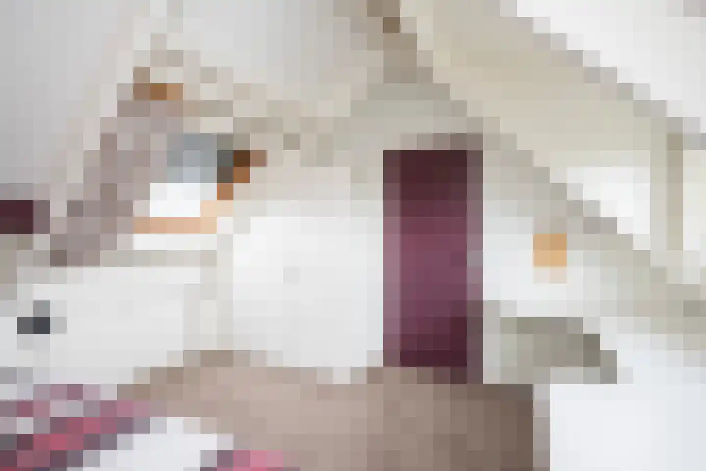 De Singel 27 Dalfsen thumbnail 24
