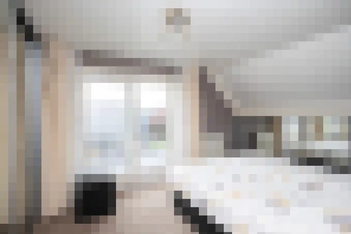 De Singel 27 Dalfsen thumbnail 25